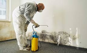 Mold Remediation for Vacation Homes in Chesterfield, IN