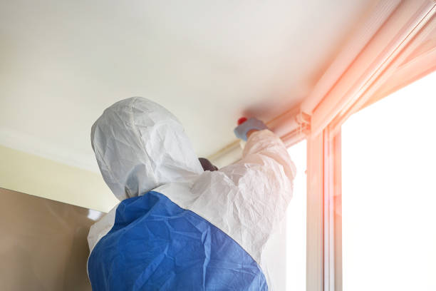 Why You Should Choose Our Mold Remediation Services in Chesterfield, IN